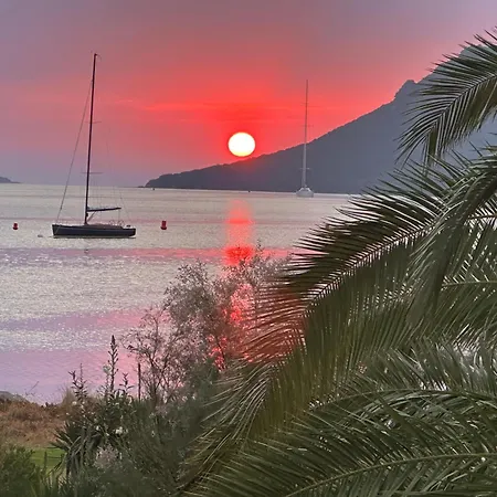 Les Oliviers 6 - Pieds Dans L'eau * Porto Vecchio