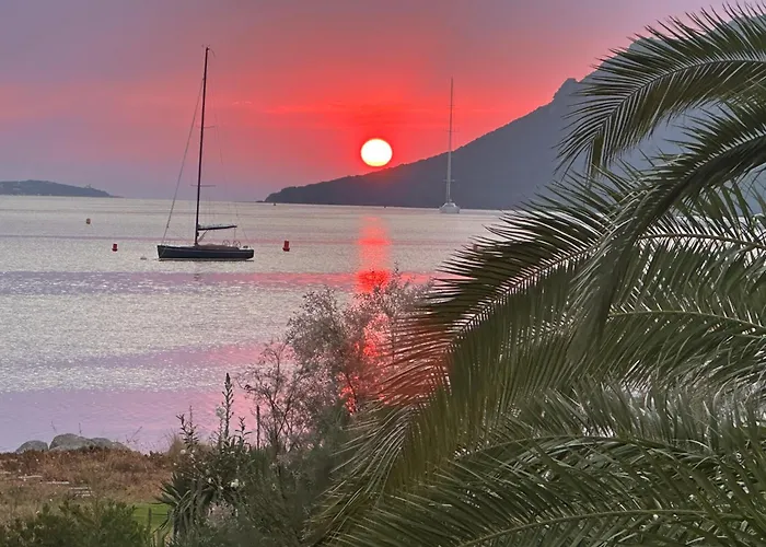 Les Oliviers 6 - Pieds Dans L'eau * بورتو فيكشْيو